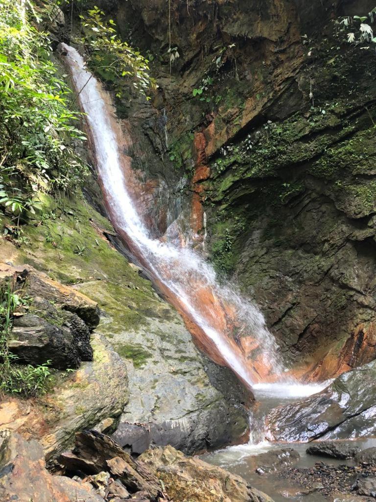Tambo Eco *