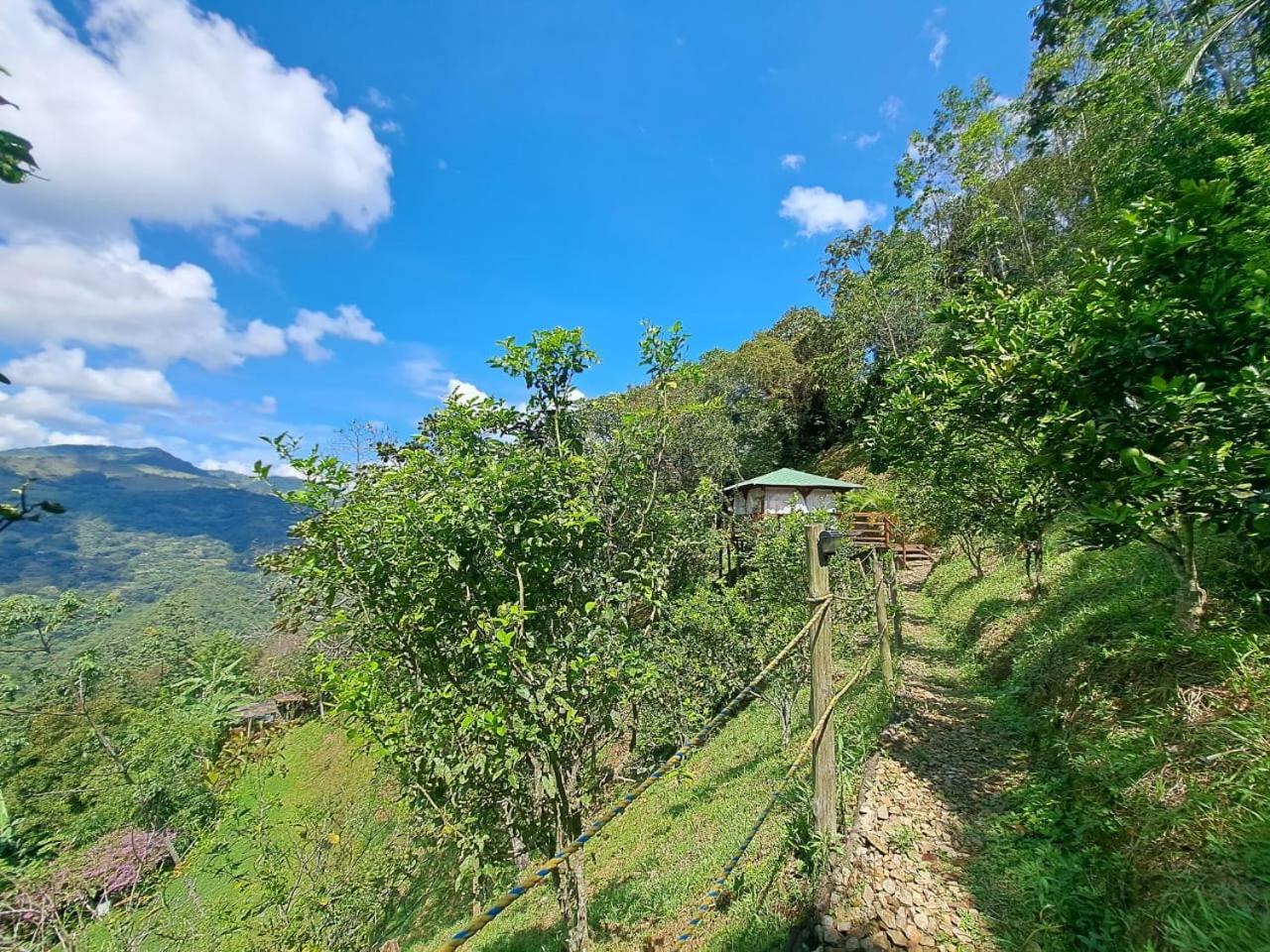 Tambo Eco * La Vega (Cundinamarca)