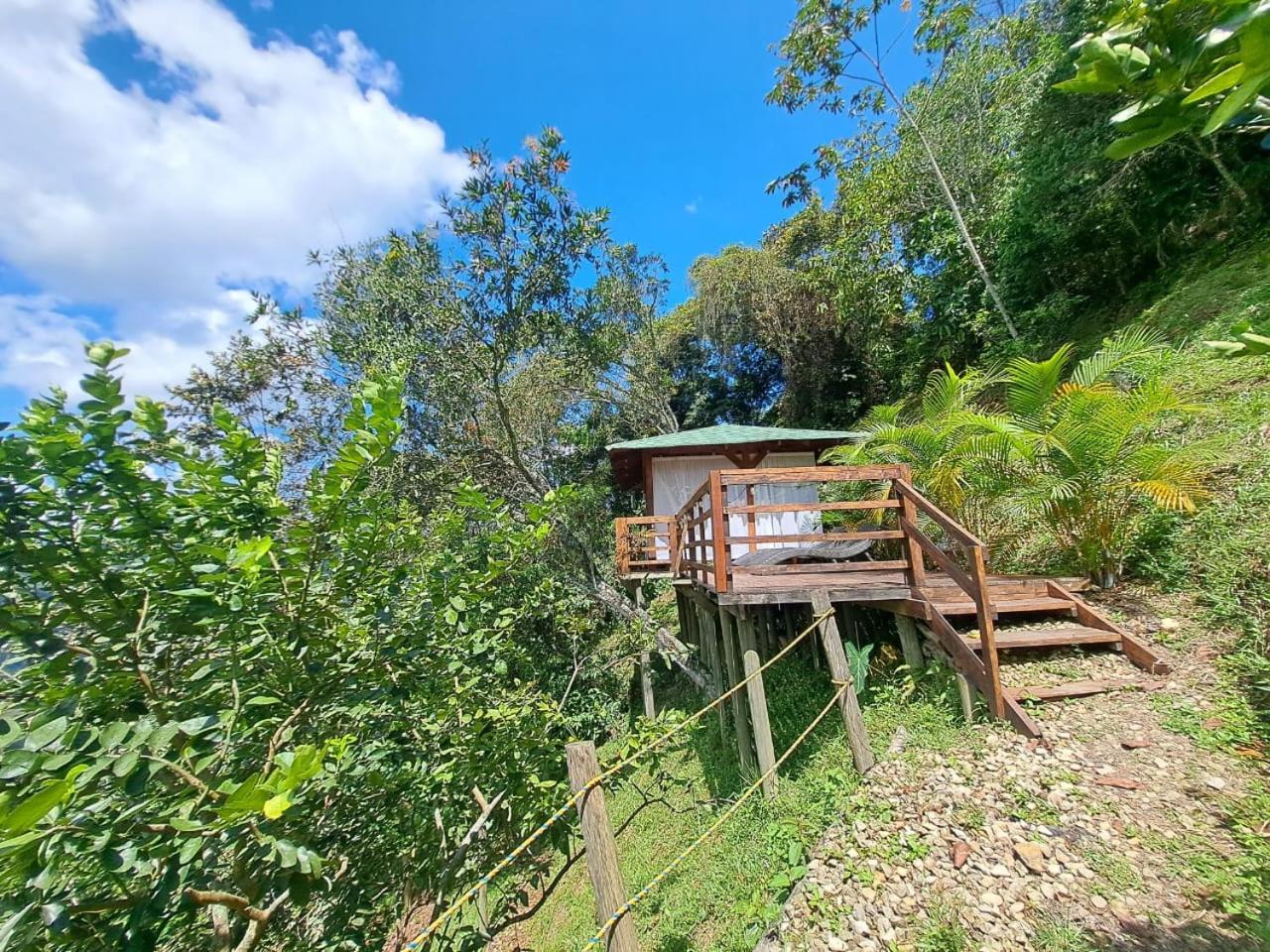 Tambo Eco